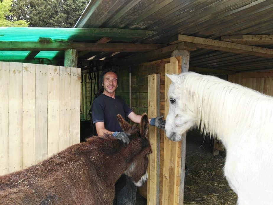 Amai con nuestro burro Platero y nuestro caballo Sol / ESCUELA DEL ARTE DE VIVIR RETIROS Y CURSOS DE MEDITACION