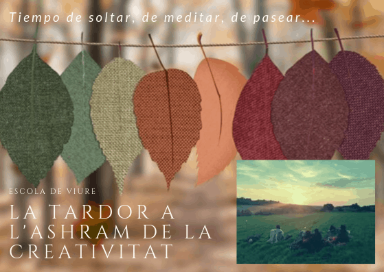 retiro de meditación