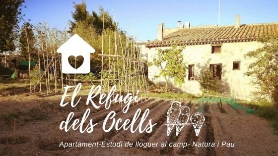 apartamento de alquiler en el campo
