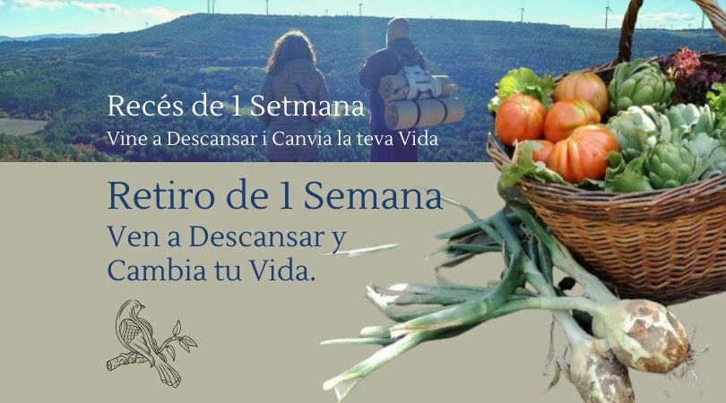 escuela DE MEDITACIÓN retiro de 1 semana