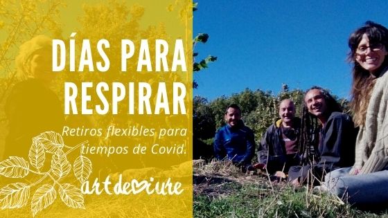 escuela DE MEDITACIÓN retiro de meditación en tiempos de covid
